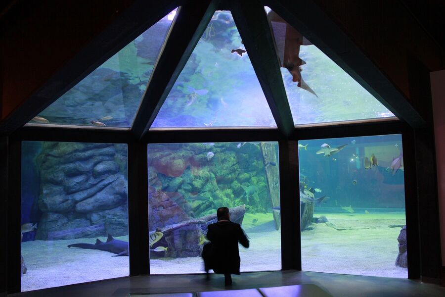 Seaquarium
