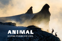 Projection film ANIMAL en présence de Veronique LAPIED_Plateau des Petites Roch…