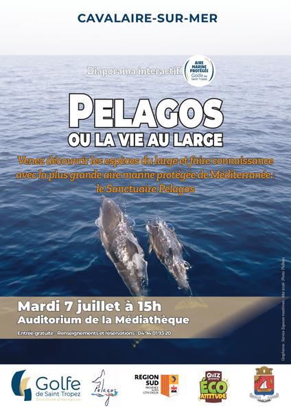 Diaporama interactif : Pelagos ou la vie au large_Cavalaire-sur-Mer