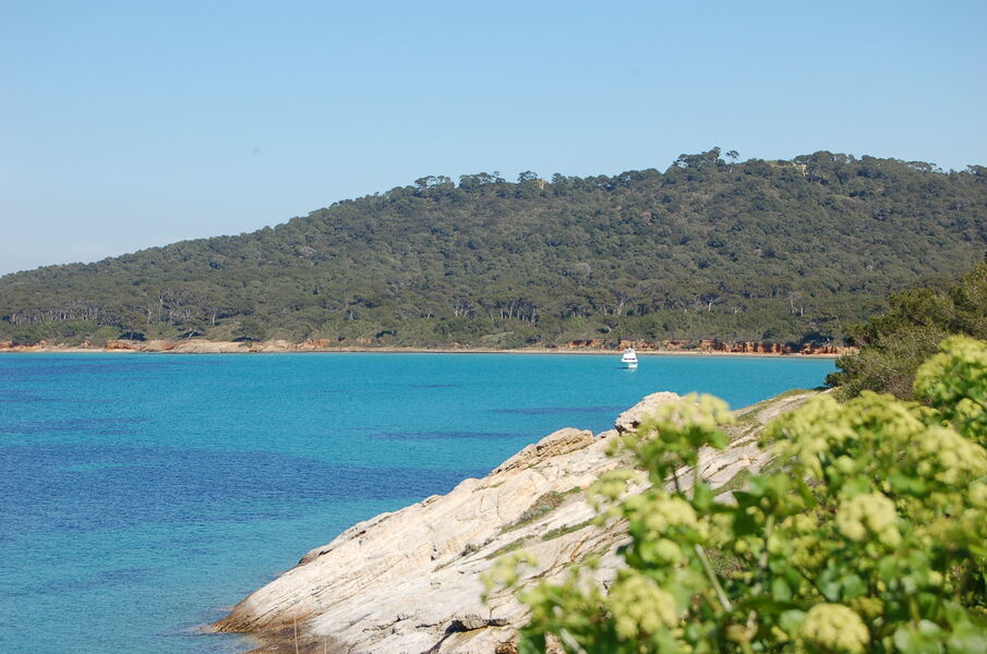 Plage de la Courtade - île de porquerolles - Hyères