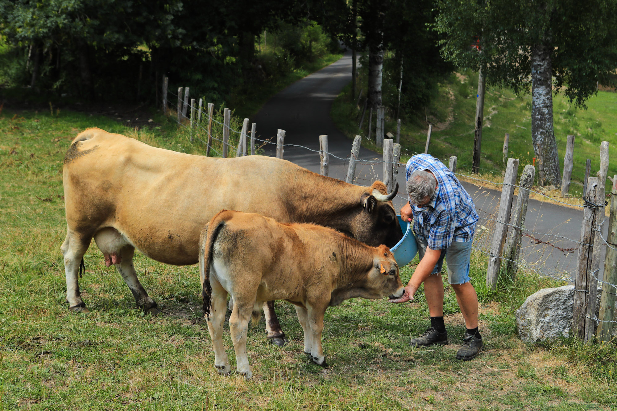 Ferme de Pradels - M. André Salson