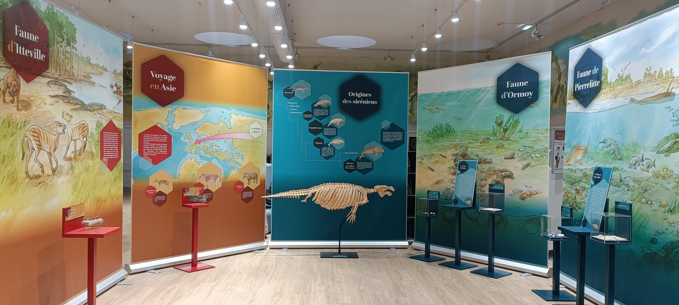 Exposition u00ab 30 millions du2019annu00e9es, un voyage dans le passu00e9 u00bb_La Fertu00e9-Alais