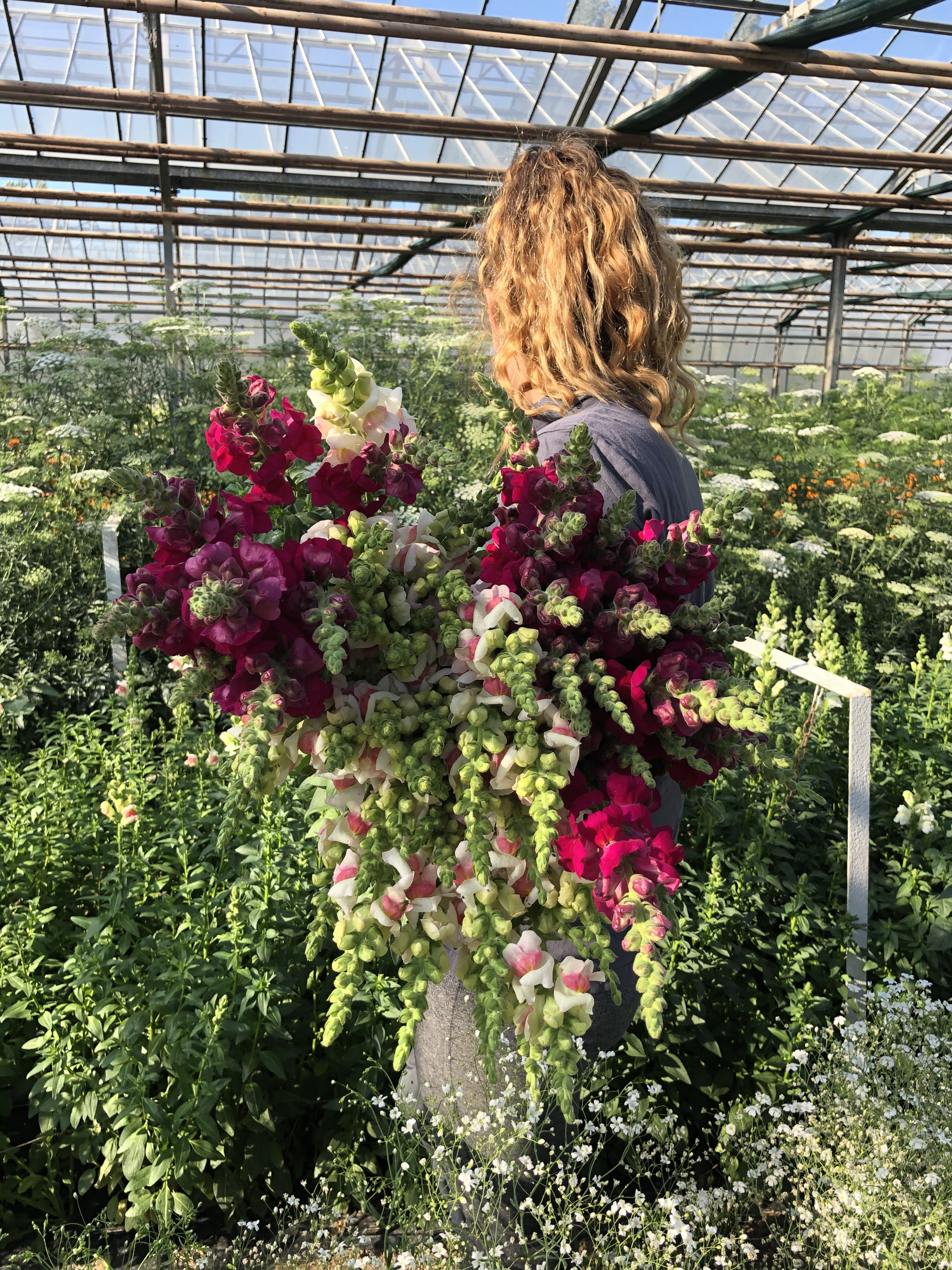 Le Chemin des Fleurs_Avrainville