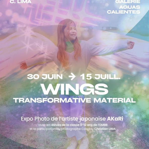 http://Exposition%20du%20projet%20artistique%20Wings%20à%20l'Espace%20Aguascalientes