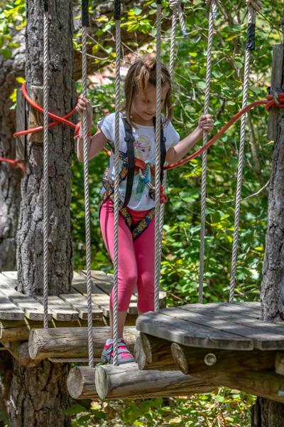 Adventure Forest