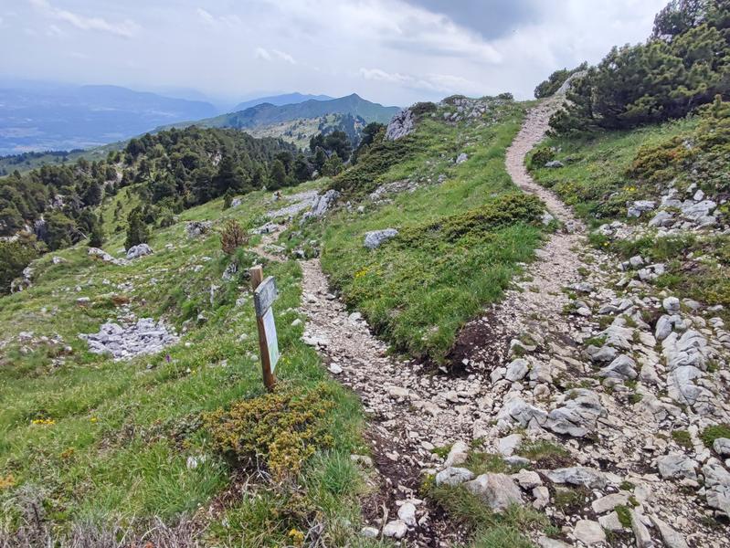 Randonnée pédestre : Crozet au Crêt de la Neige par la Calame_Crozet