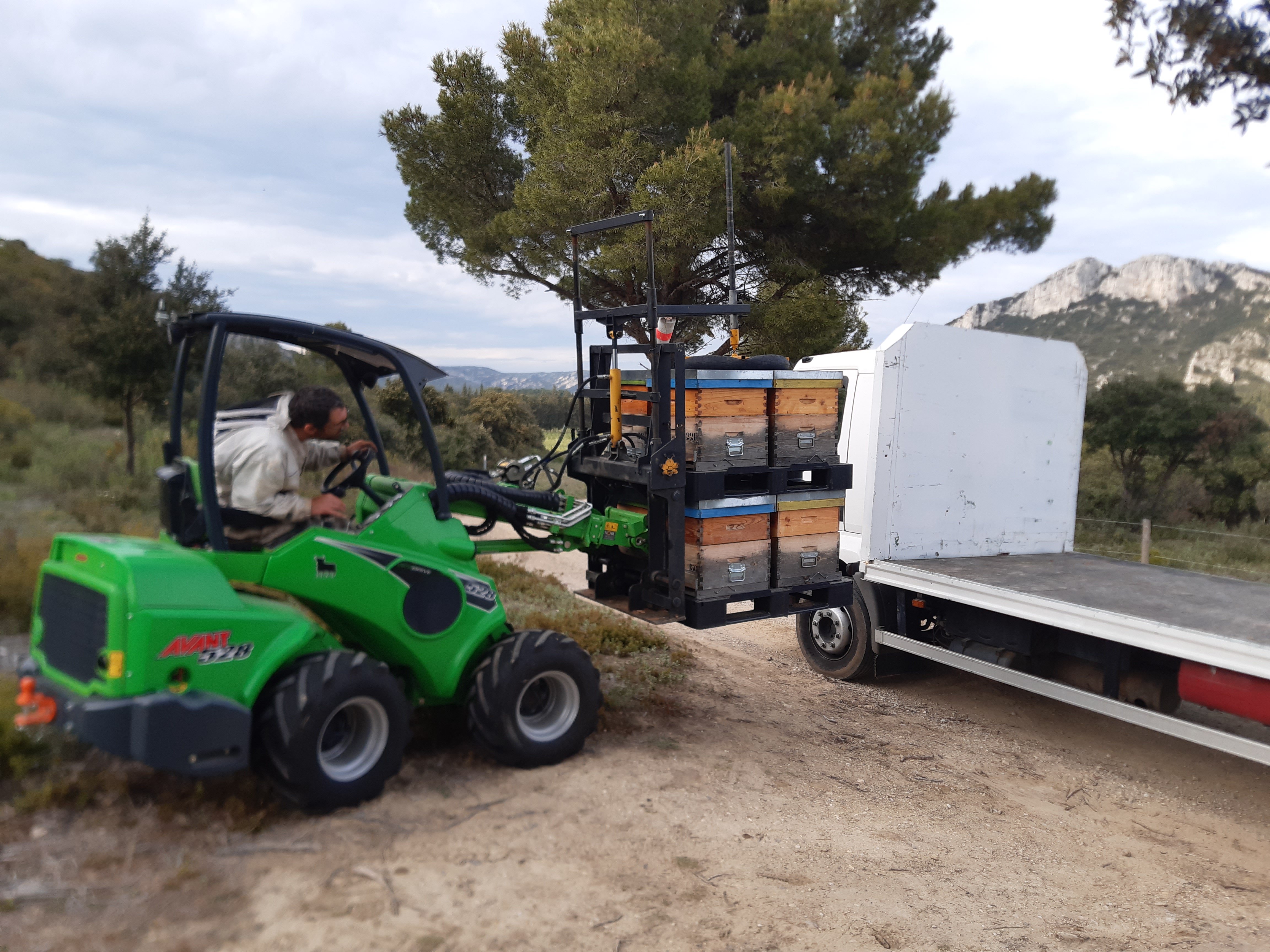 Les Ruchers du Renard - photo 2