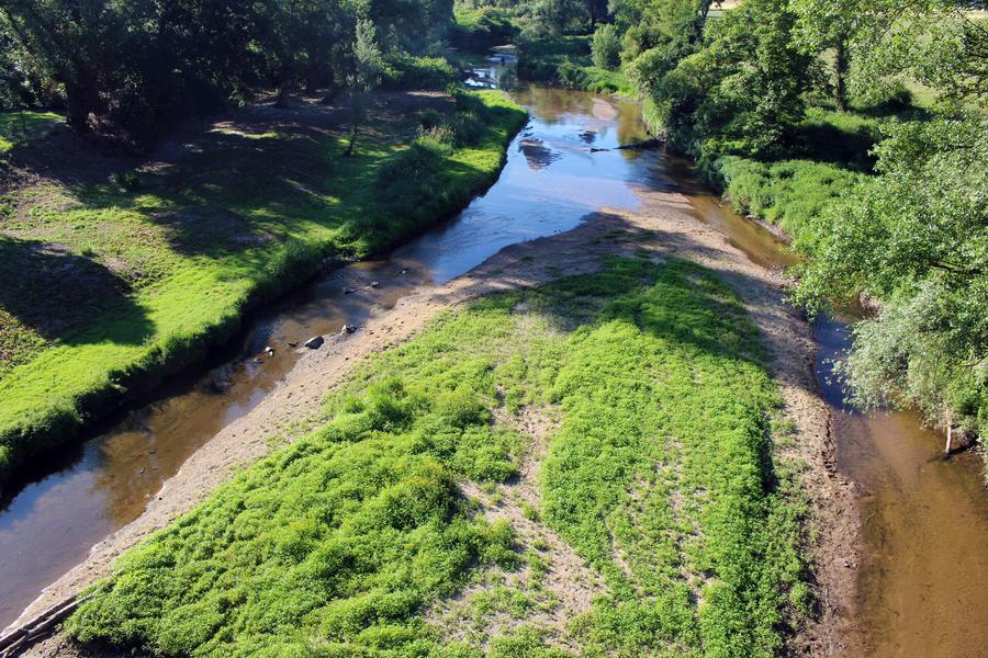 Marche des bords de Loire_Rivas