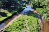 Marche des bords de Loire_Rivas