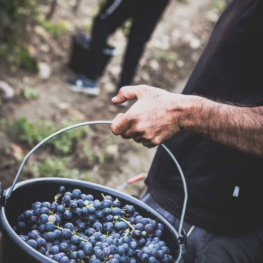 Domaine Éklô
