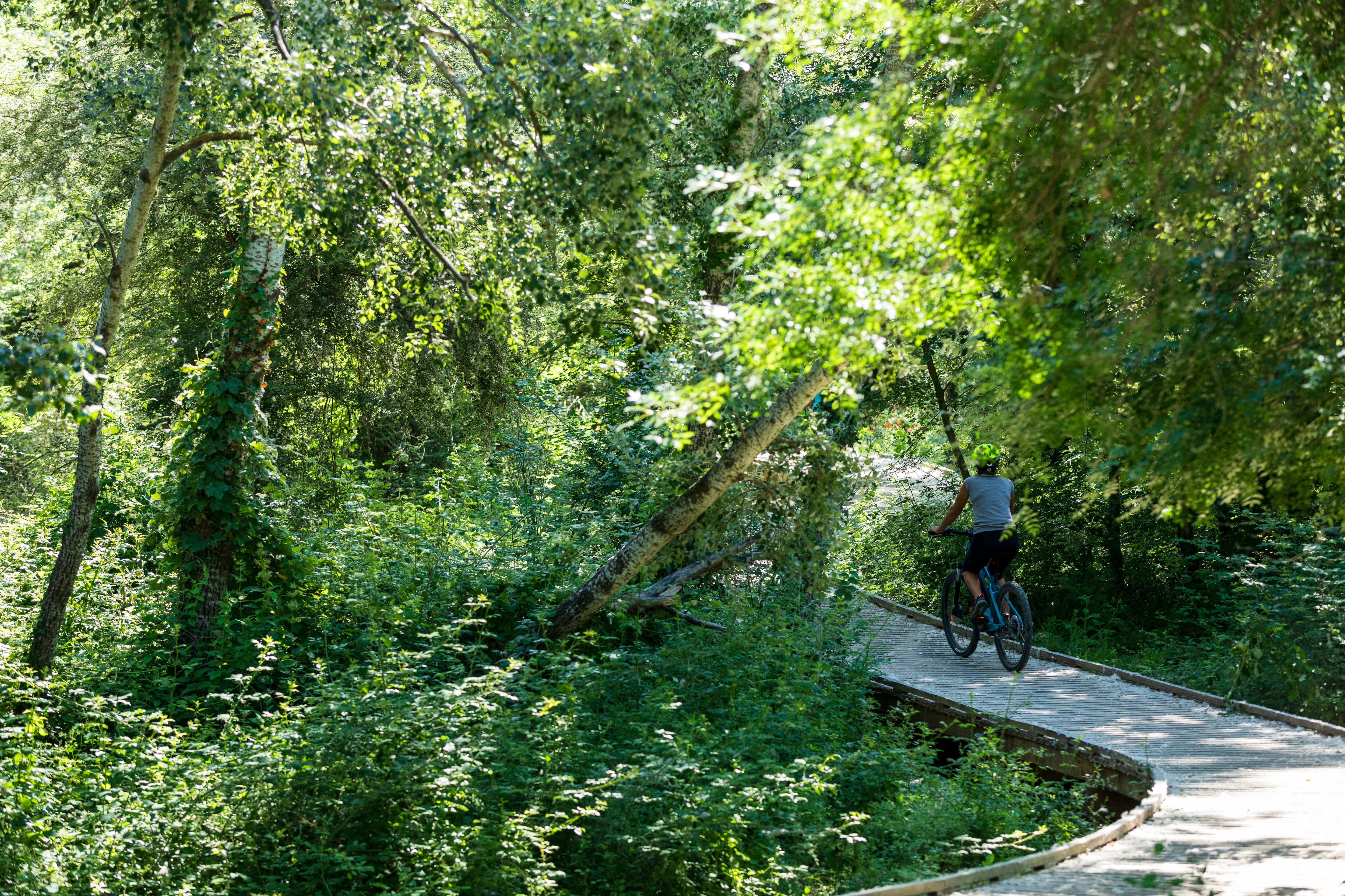 Véloroute Vers la Durance à vélo : Tronçon Mallemort - La Roque d'Anthéron , Mallemort - photo 6