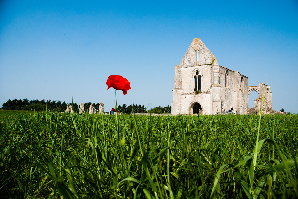 Visite guidée de l'Abbaye des Châteliers