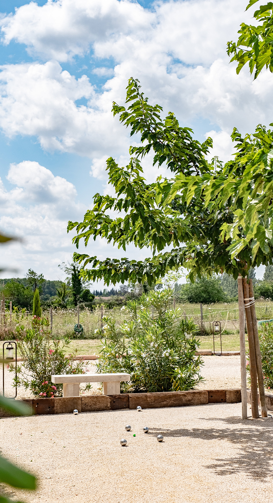 Mas Papabiou - Romanin