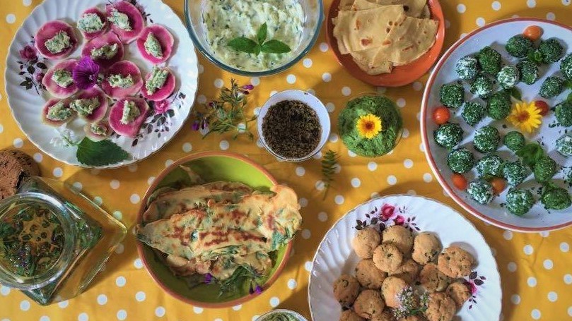 dégustation plantes