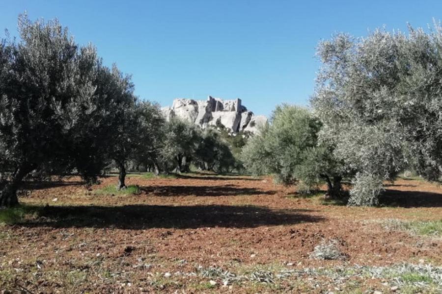 Toute la Provence en un jour