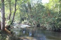 A la rencontre des canaux_L'Isle d'Abeau