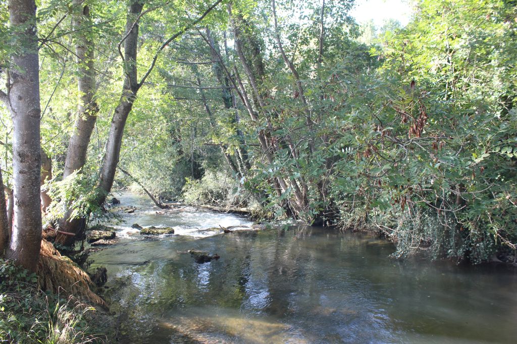 A la rencontre des canaux_L'Isle d'Abeau