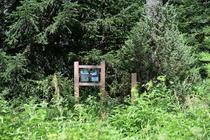 Sentier découverte du Mélè’zen - Colmars-en - Photo 8