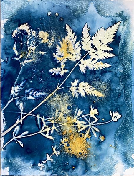 Ateliers Cyanotypes avec Sarah_Les Orres