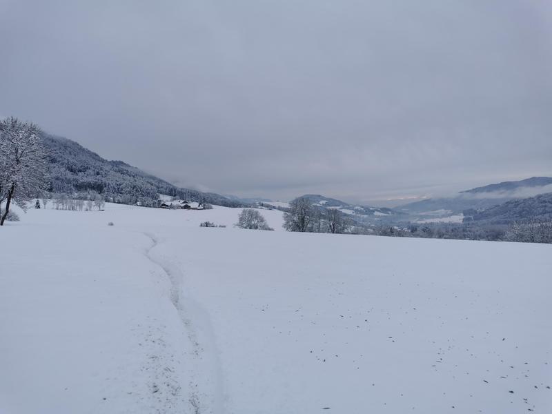 Espace ludique : Balade boule de neige 