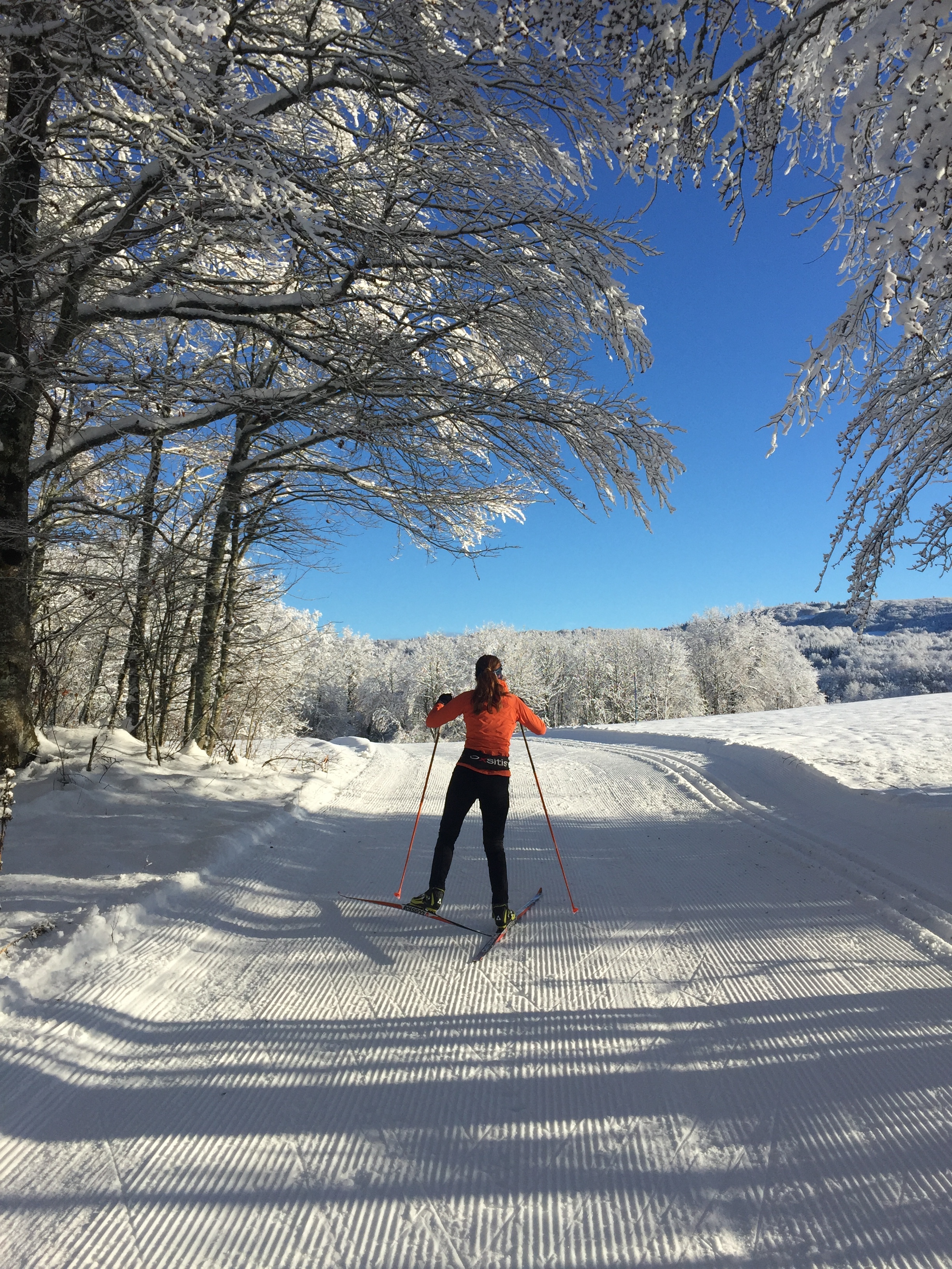 Piste bleue de ski de fond du Plateau de Retord : Les Ruches