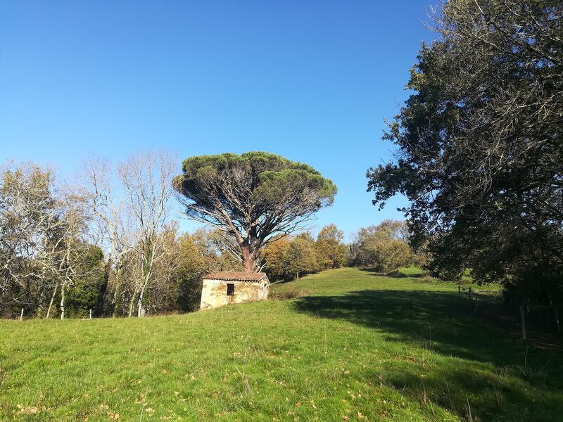 Chemin de Sainte Juliane