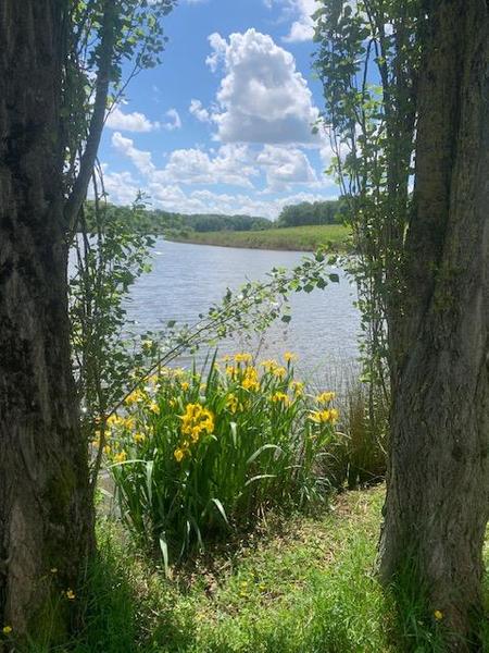 Etang de Montalibord