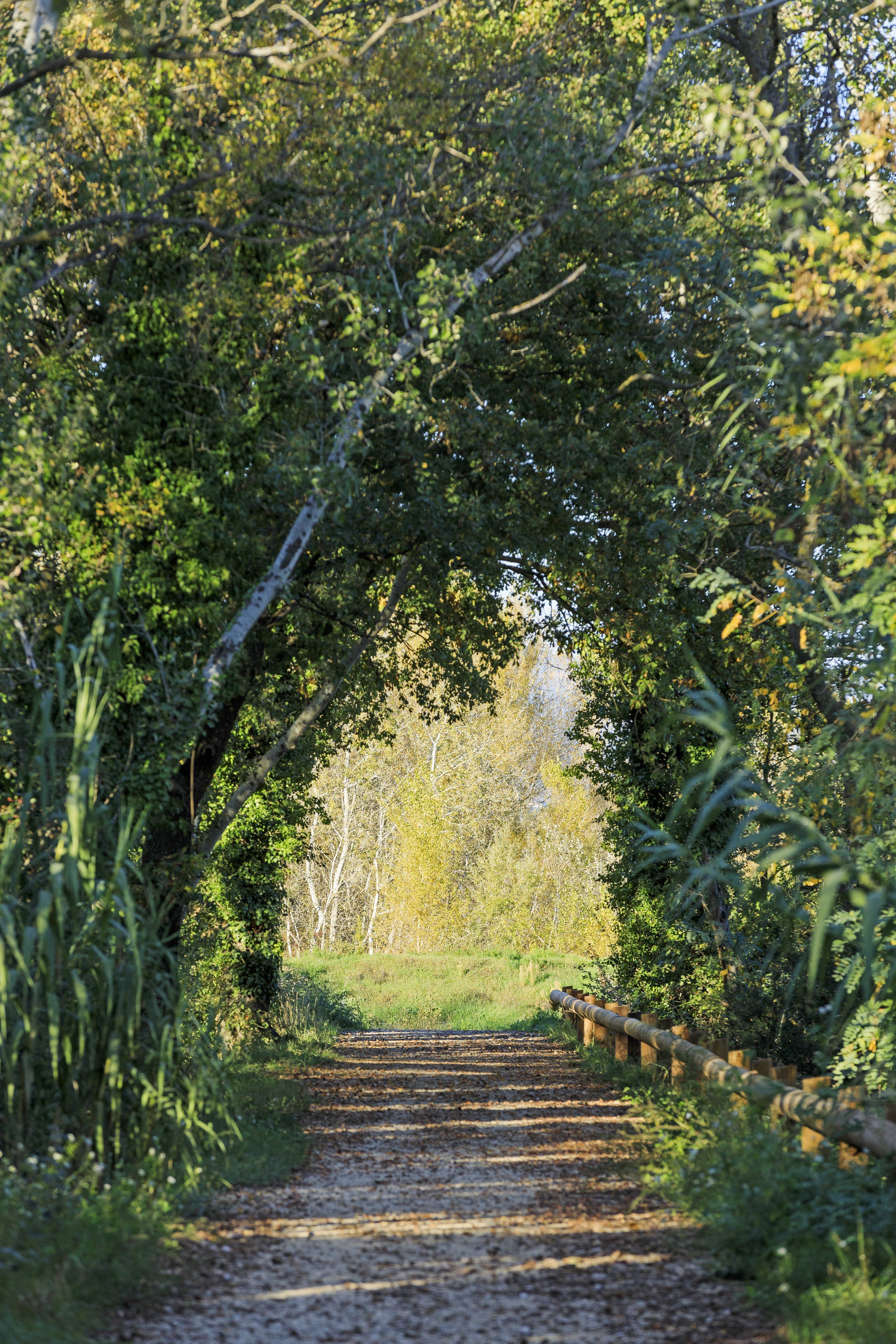 Voie Verte en bord de Durance, Pertuis - photo 6