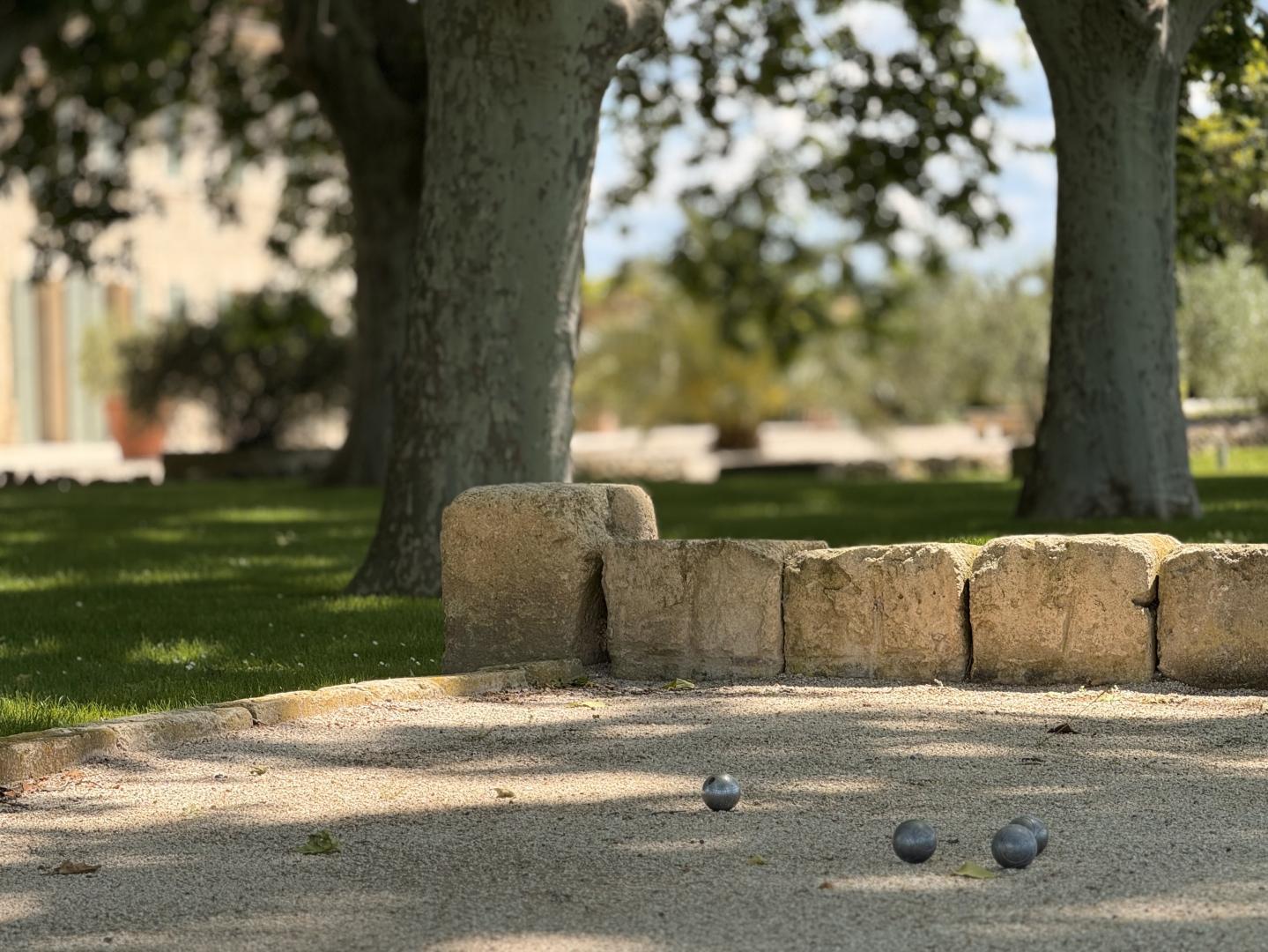 Gite L'Olivier, Fontvieille - photo 20