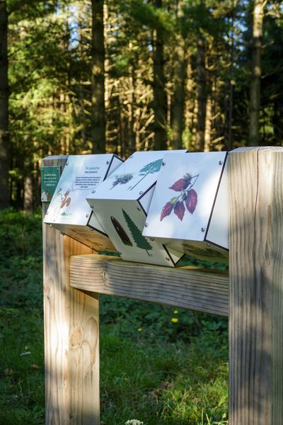 Arboretum du Bois des Brosses