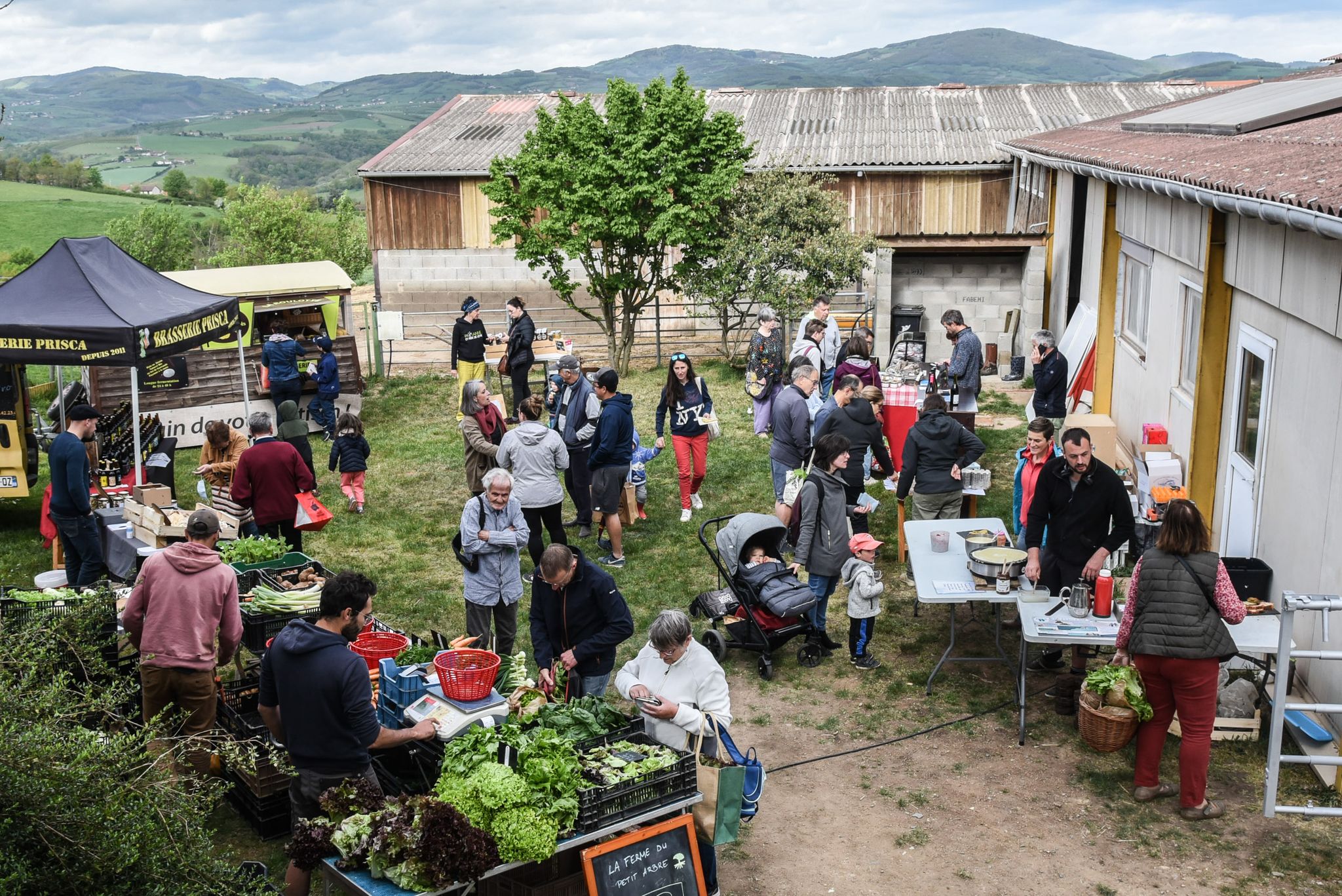 bonnard Gaec la chèvre de milo
