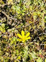 Sortie nature commentée 