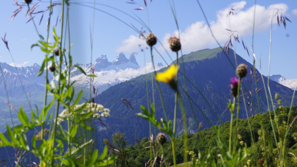 aiguilles D'arves