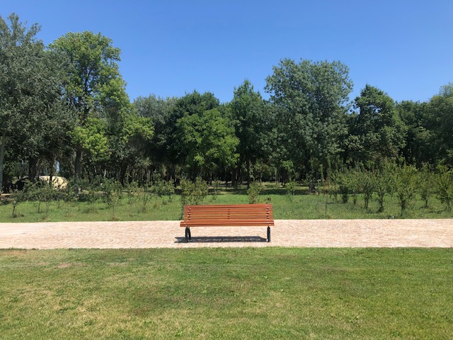 Domaine des Eucalyptus, Mollégès - photo 20