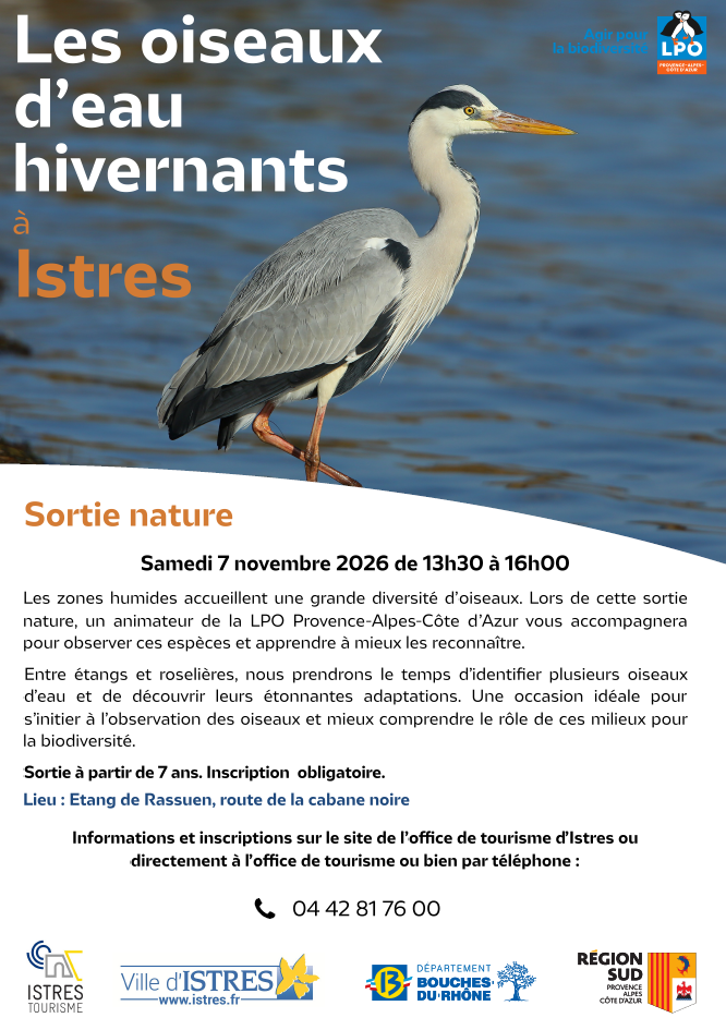 Les oiseaux d'eau hivernants à Istres avec la LPO