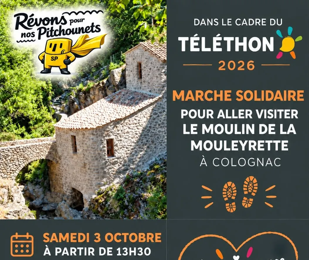 Marche solidaire_Lasalle