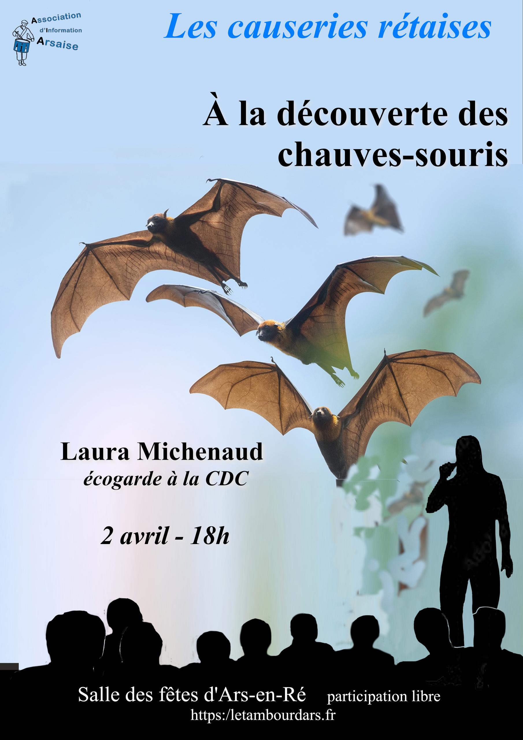 Causerie rétaise - À la découverte des chauves-souris
