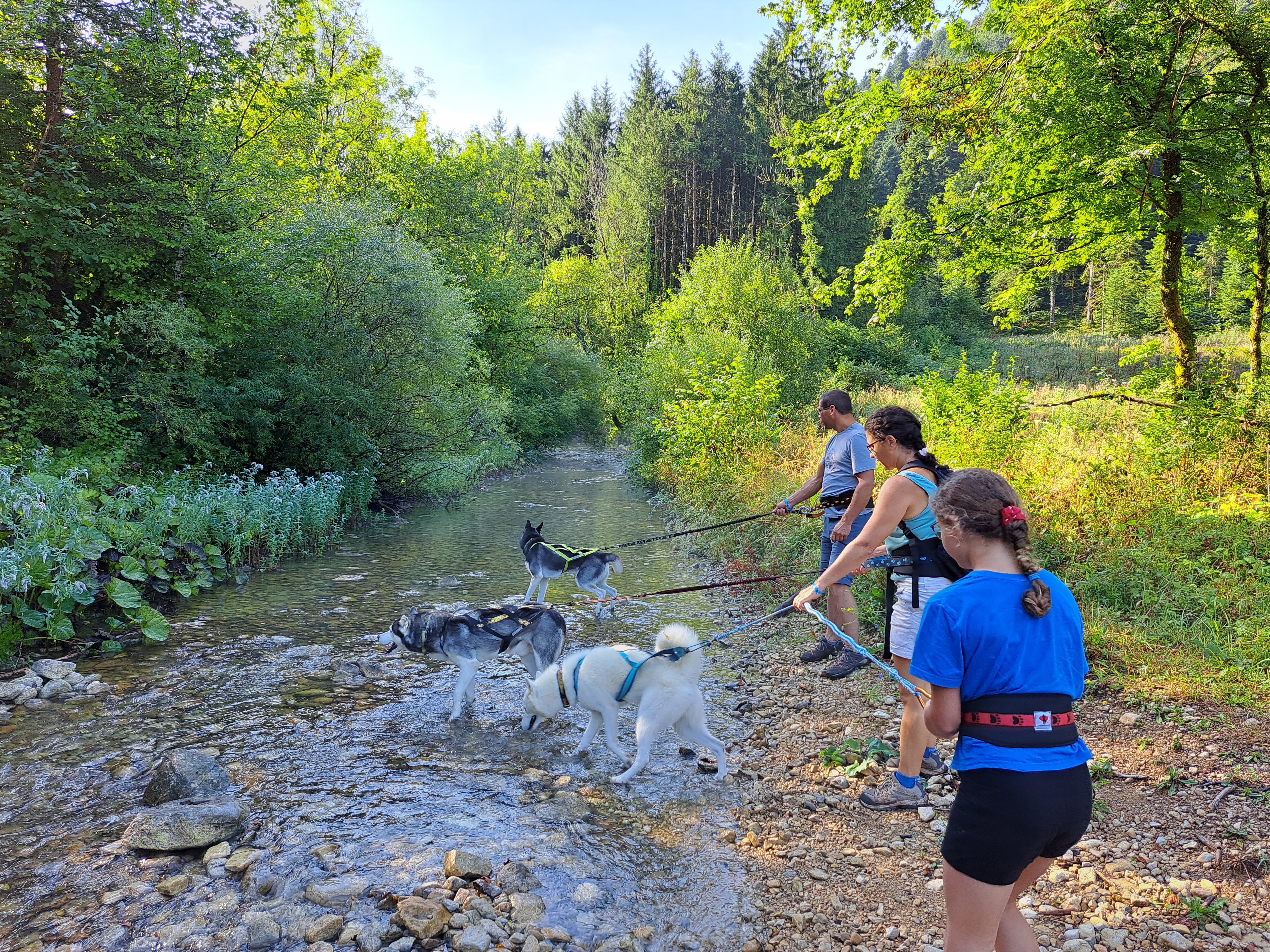 Séjour dogfriendly multi-activités_Plateau d'Hauteville