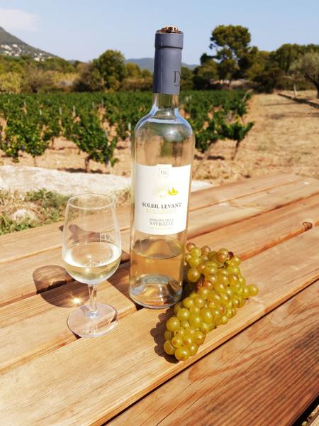 Domaine de la Navicelle