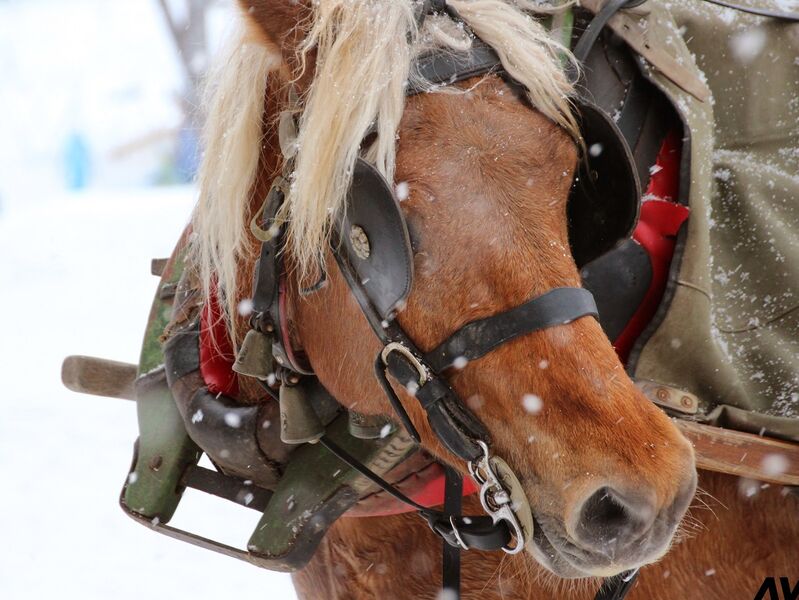 Accueil Entrée Station