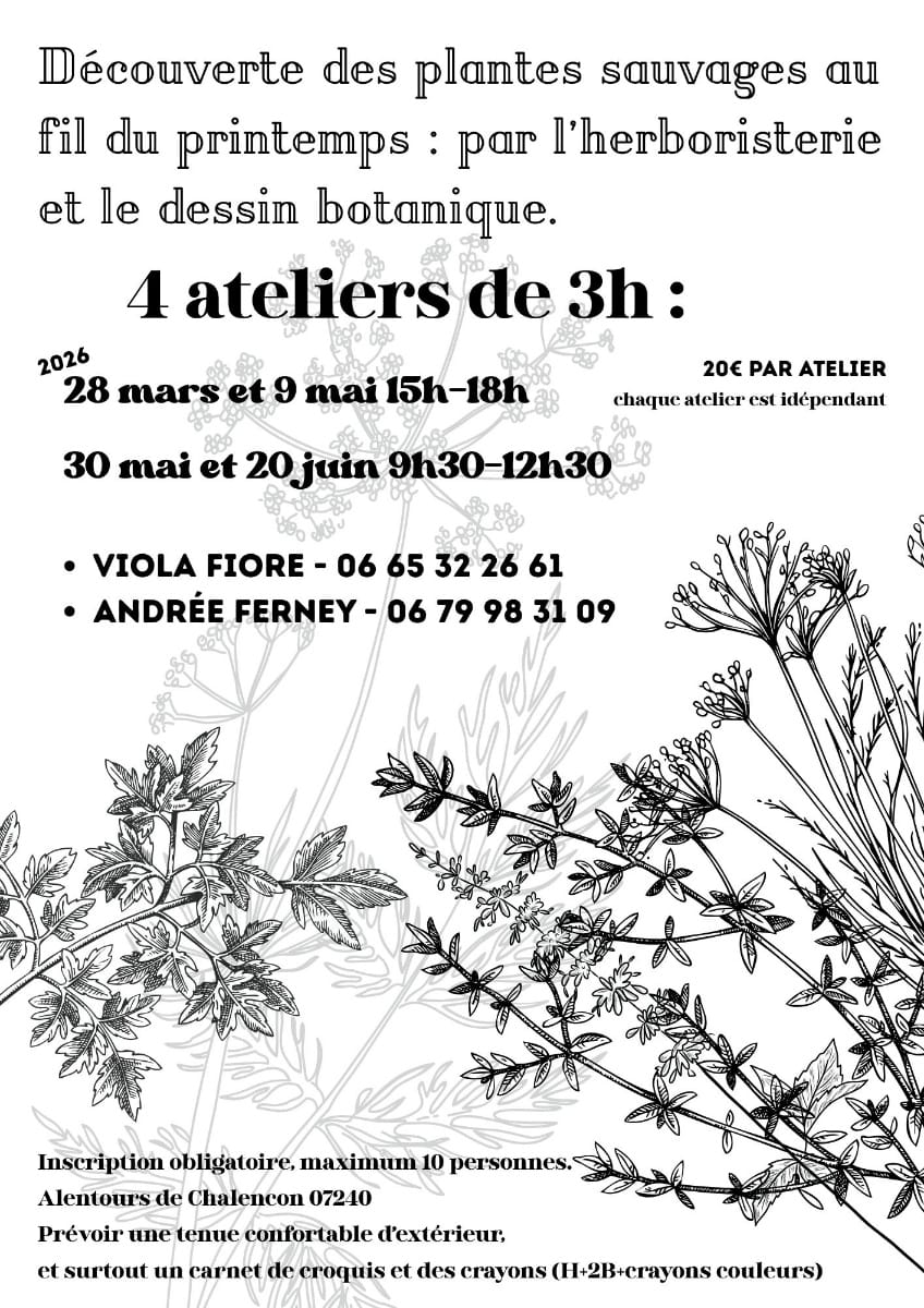 Affiche