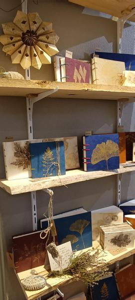 Atelier Radix - Impression botanique