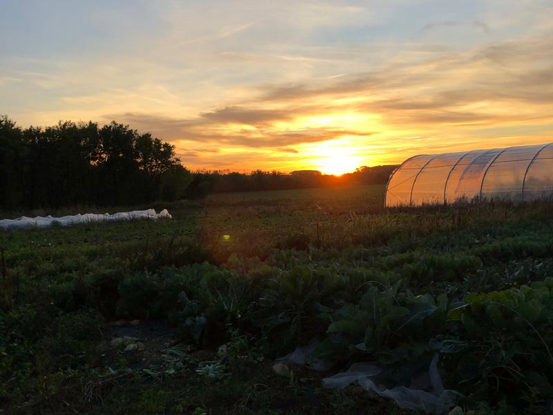 Coucher de soleil sur la ferme