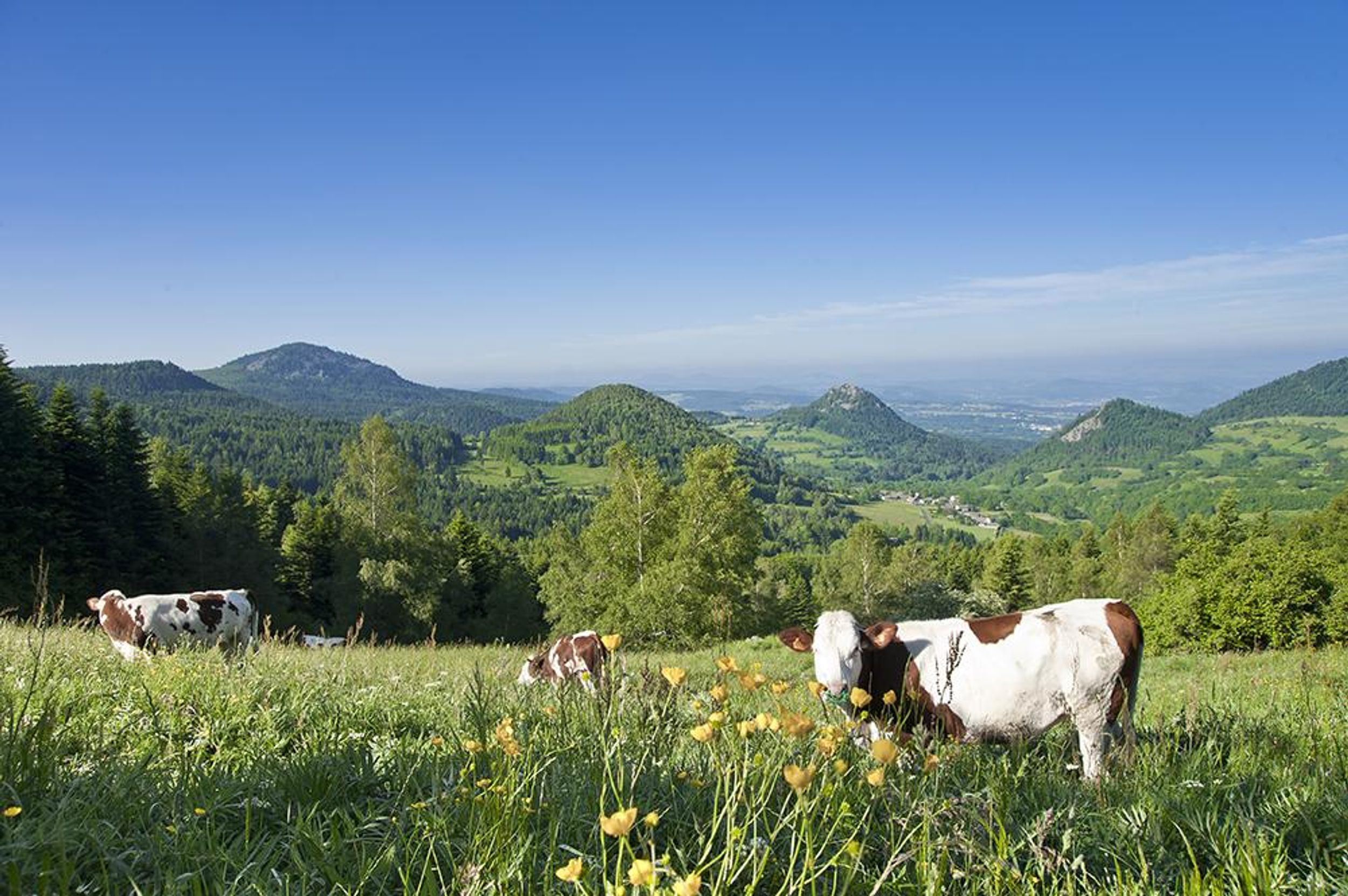 Trail N°06 - Nos aïeux ces traileurs