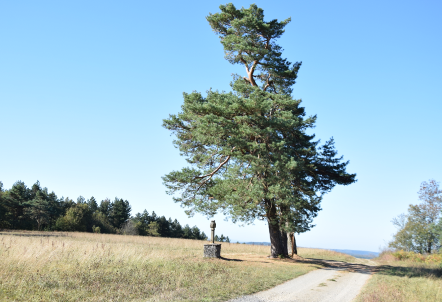 randonnée de St Jean del Frech à Lacaze