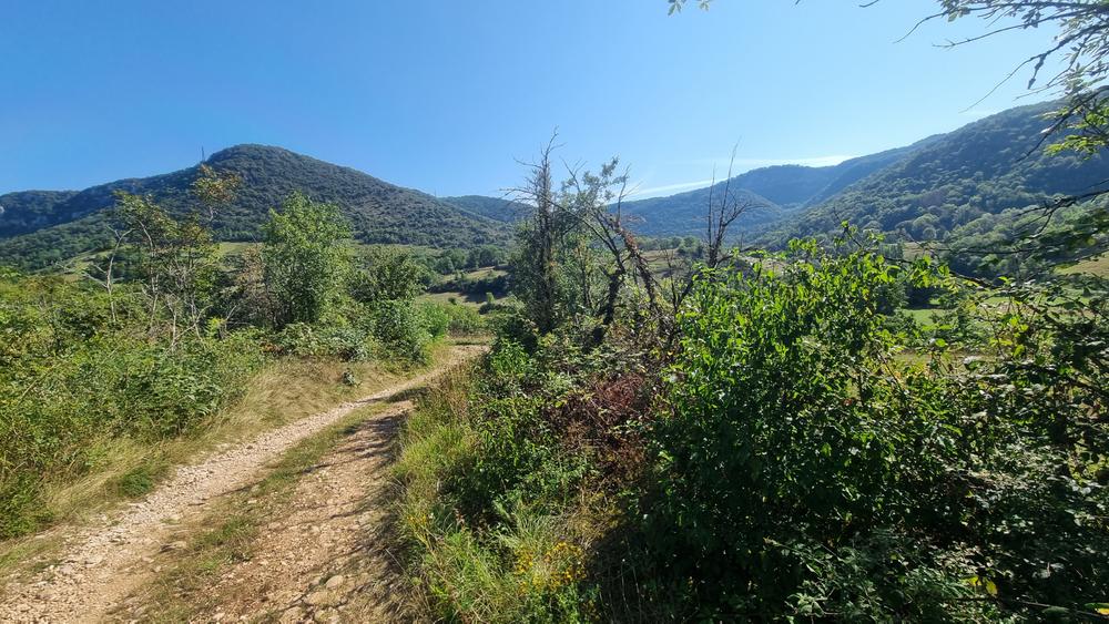 Gorges de l'Ain à VTT