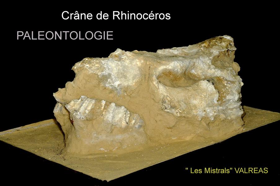 Musée de pays - Archéologie