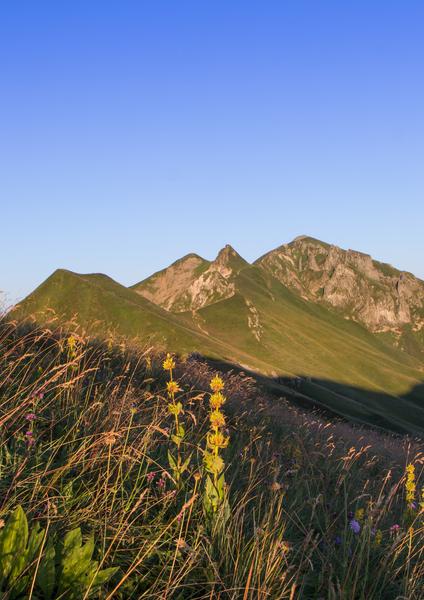 La panoramique sur les crêtes, randonnée accompagnée
