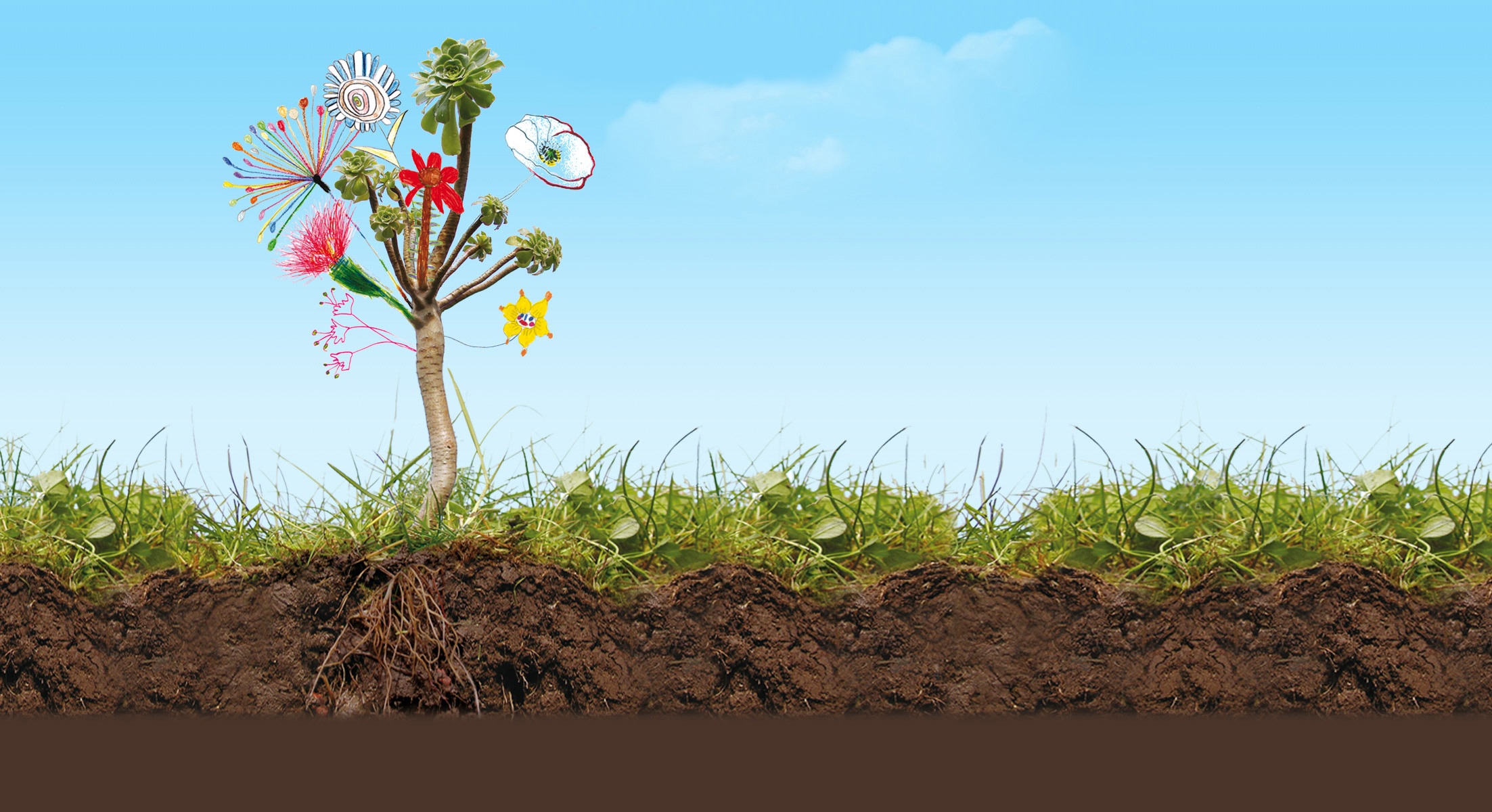 Atelier de jardinage : organiser son jardin au naturel