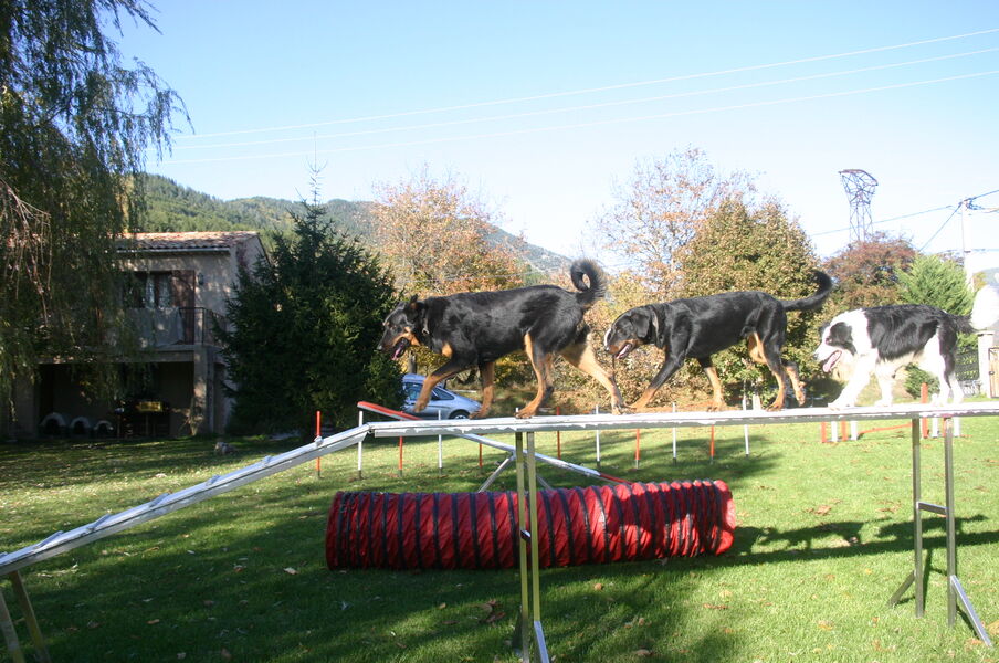 Club Canin du Verdon